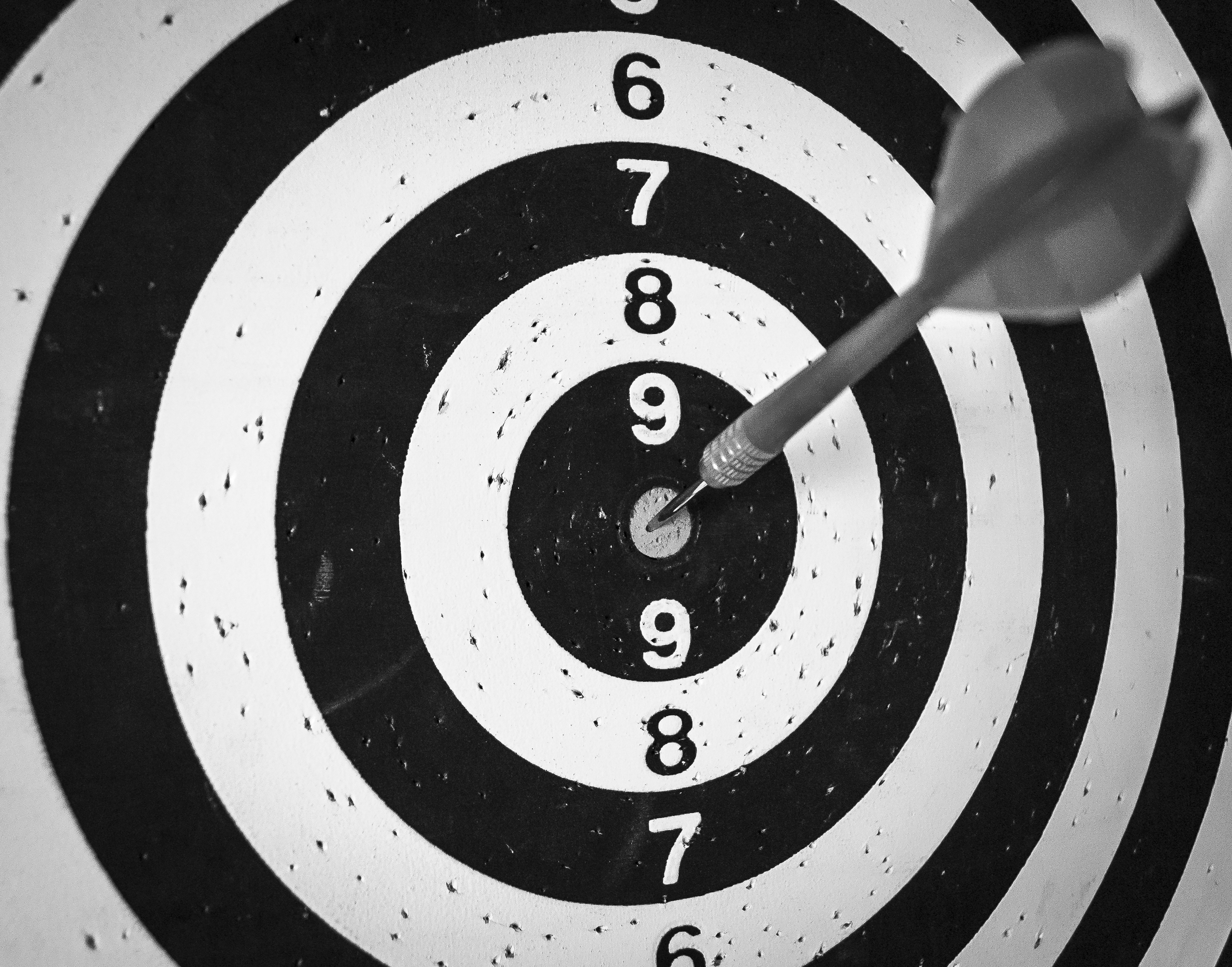 Paid search and paid social advertising (PPC) services